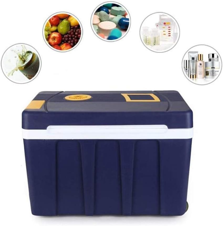 Car Refrigerator Car Freezer Cooler Ice Box Camping Portable Mini Fridge Compressor Car Refrigerator Fridge