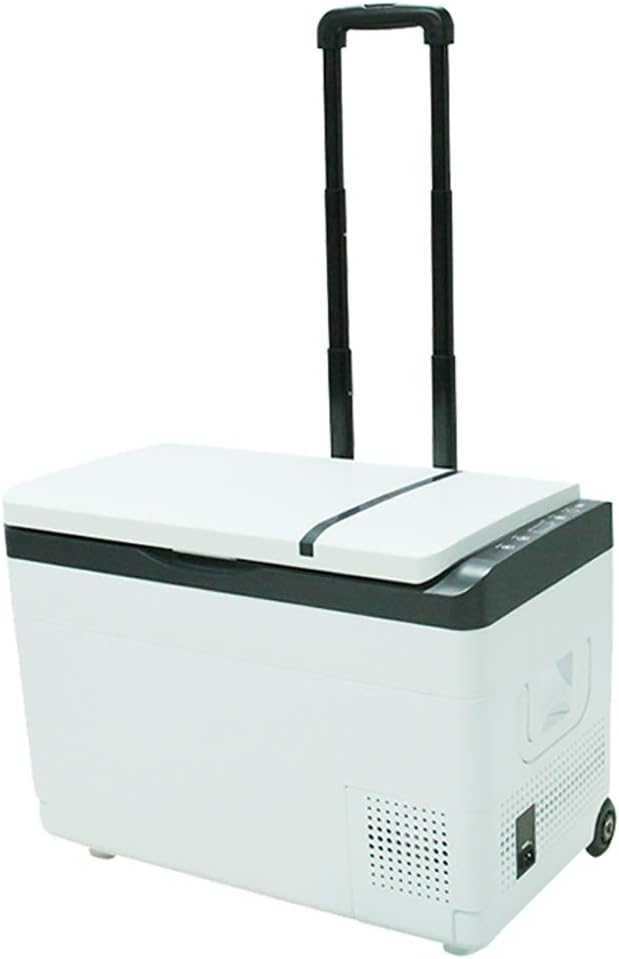 Mini Fridge Car Refrigerators Portable Compressor Fridge Freezer Cool Box (30L) Car Truck RV Boat Mini Electric Cooler