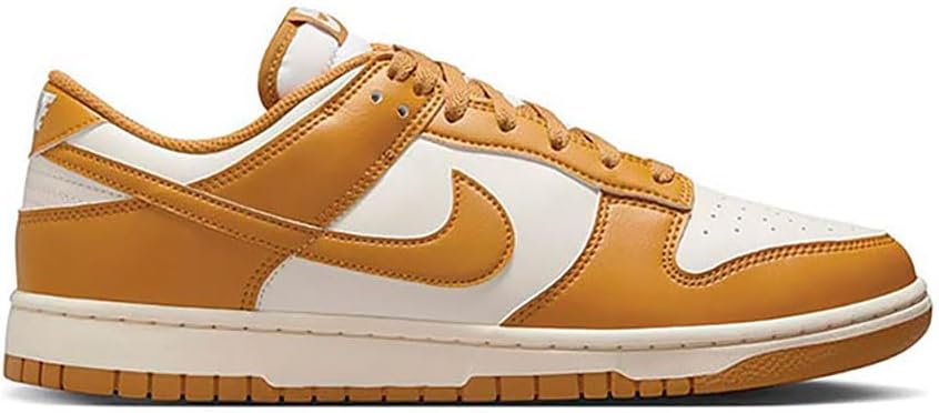 Nike Mens Dunk Low Retro