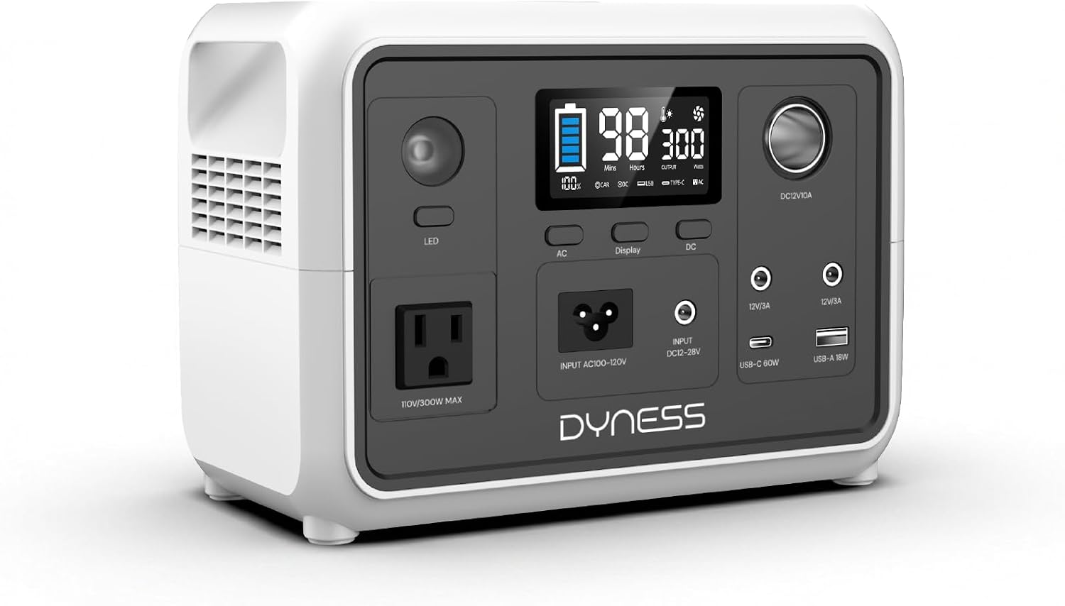 DYNESS Portable Power Station 300W, 256Wh Solar Generator with 110V Pure Sine Wave AC Outlet, LiFePO4 Battery for Camping, Home Backup, RV, Outdoor Emergency (Solar Panel Optional)