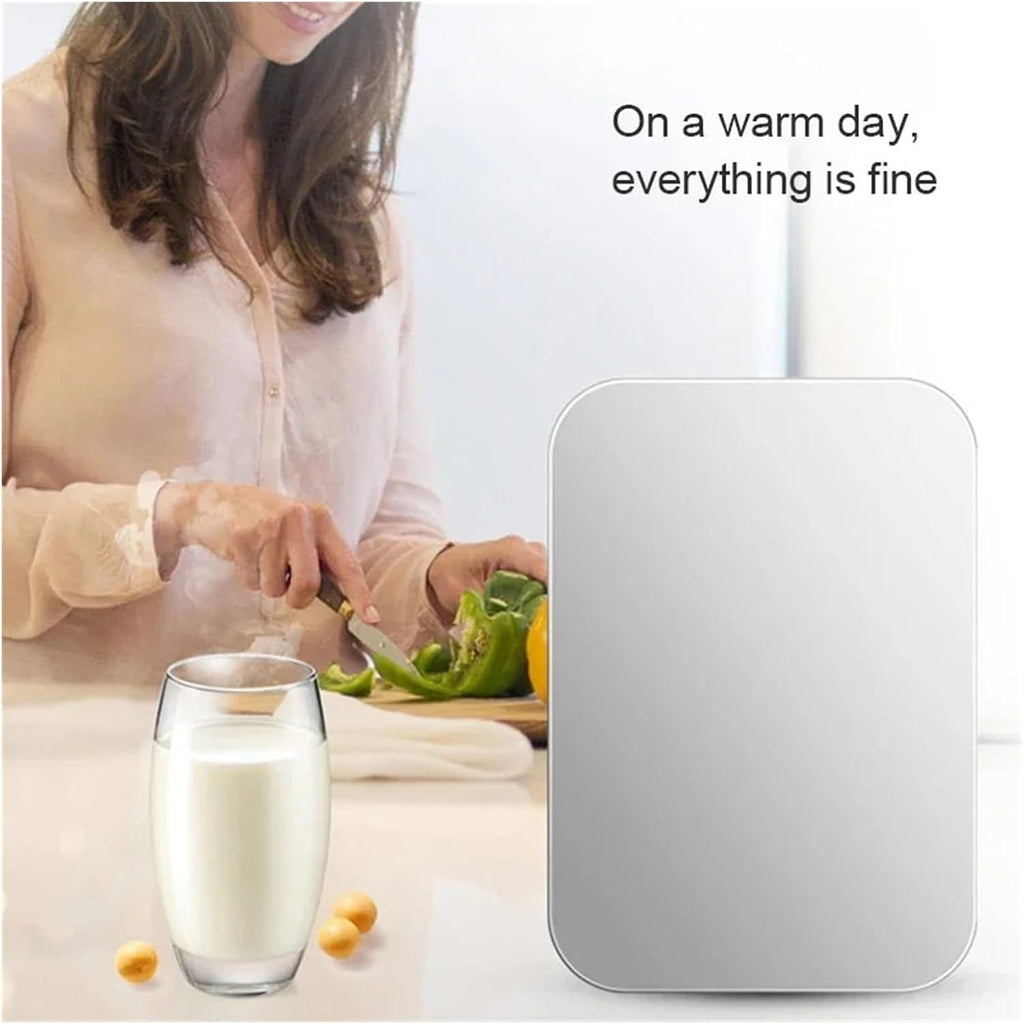 6L Mini Car Refrigerator 12V DC 220V AC Electric Portable Beauty Cooler Warmer Car Mini Fridge Ice Box For Home Camping Travel