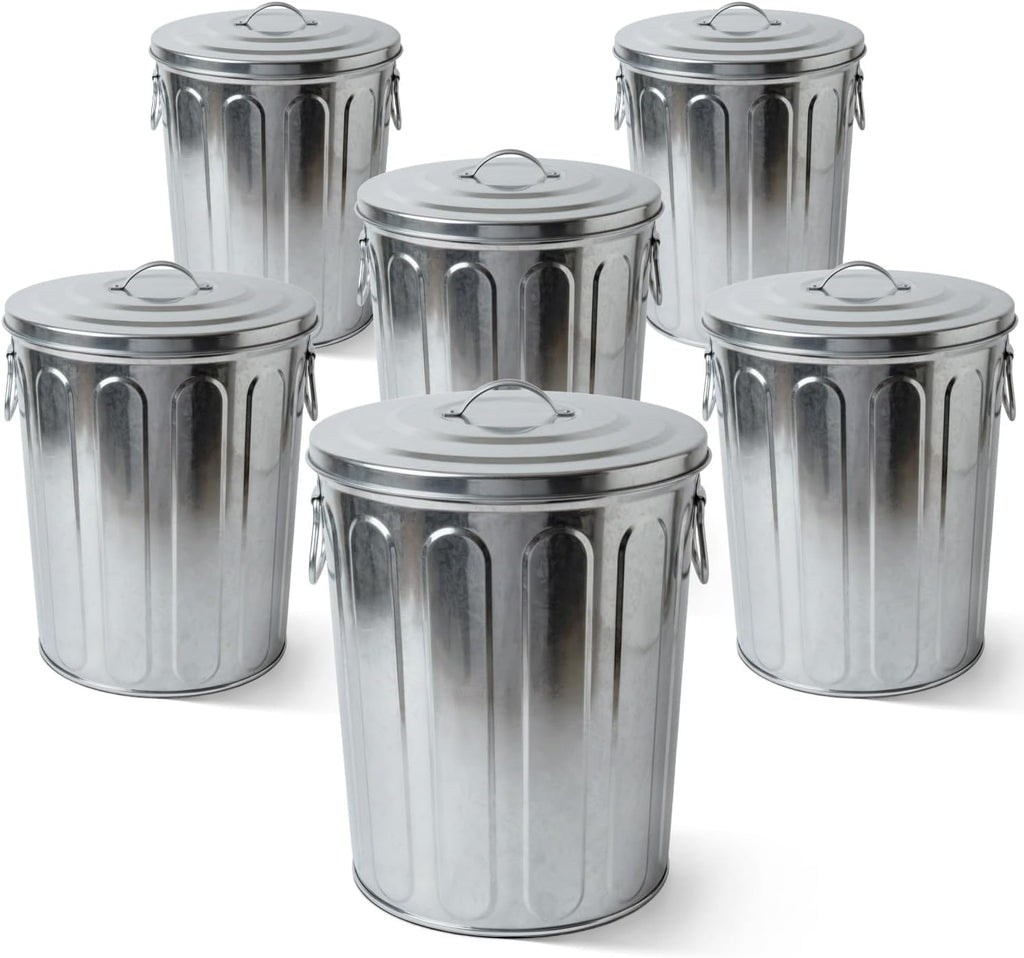 Plexon 5 Gallon Small Metal Trash Can with Lid Outdoor Galvanized Bucket with Lid 5 Gal Fireplace Ash Bucket for Wood Stove Storage Can for Dog Food Bird Seed Storage Container 6 Pack