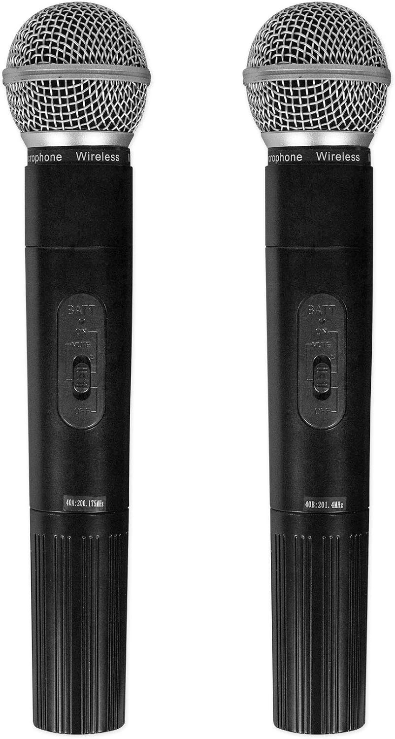 Rockville RAM12BT 12' Rechargable Powered 600W PA Speaker, 2 Mics, Bluetooth