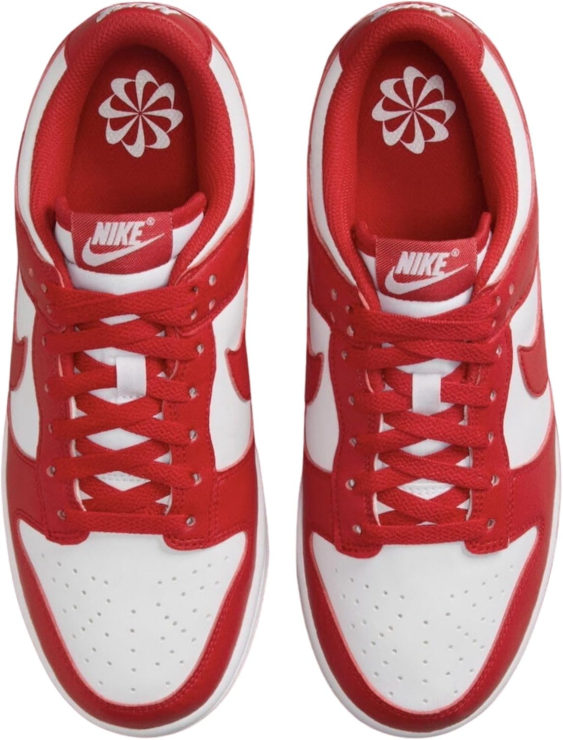 Nike Women's Dunk Low Next Nature Sneaker