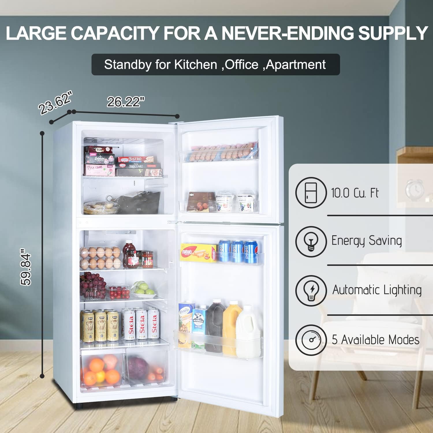 10.0 CU' Refrigerator with Freezer, Apartment Size Refrigerator Top Freezer, 2 Door Fridge with Adjustable Thermostat Control, Freestanding, Door Swing, White (FR 1002 WH)