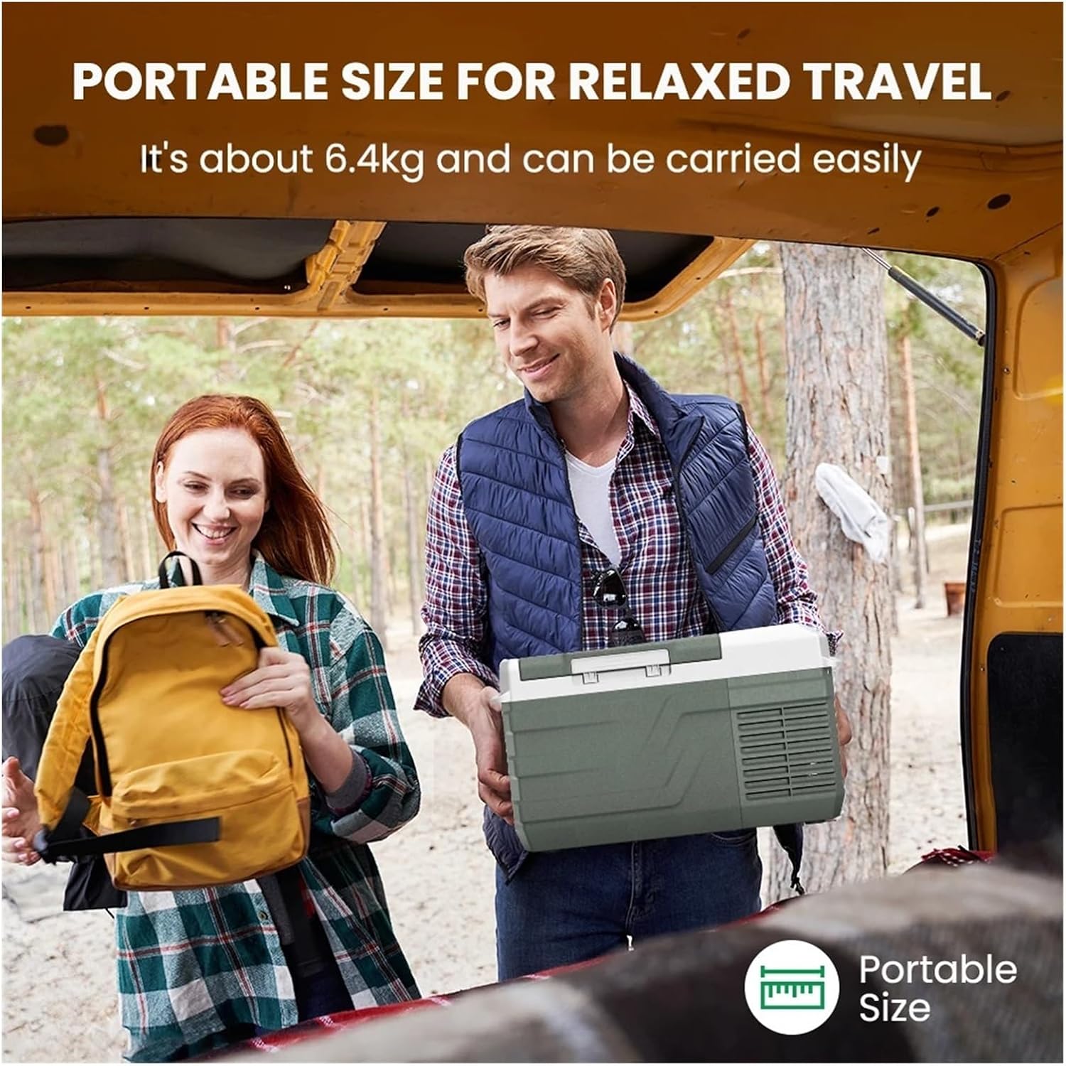 9L Portable Refrigerator 12V/24V Small Car Fridge 100V~240V AC Electric Cooler Plug In Mini Freezer For Camping