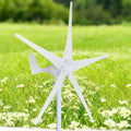5000W Wind Turbine Generator Kit – 12/24/48V With 5 Blades And MPPT Charge Controller, Suitable For Marine, RV, Home & Hybrid Solar-Wind Systems(48v)