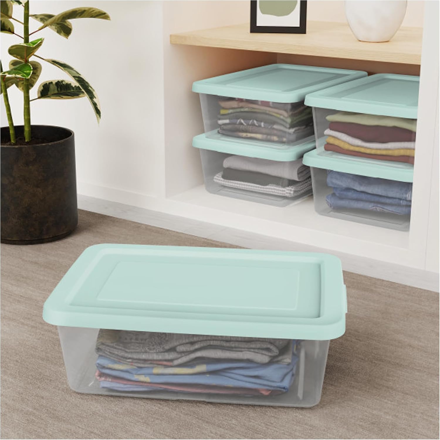 Sterilite 24 Pack Storage Boxes, Clear Plastic Stackable Containers, Lightweight Home Organizers with Snap Lids, 12 Quart, Mindful Mint